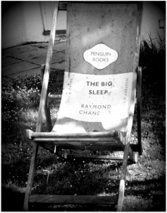 Literary Deckchair 