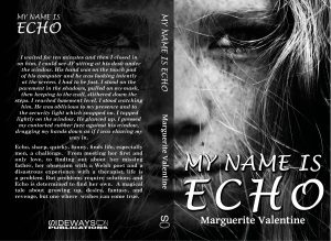 My Name Is Echo Covers